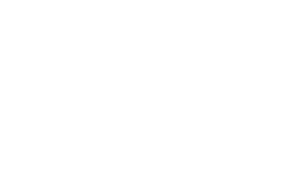 13 dicembre - Percentuale rete realizzata