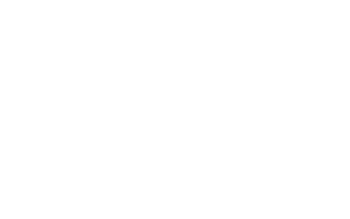 13 dicembre – Percentuale rete realizzata