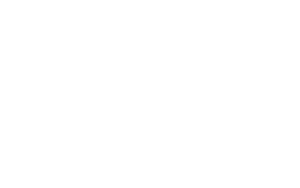 15 novembre - Percentuale rete realizzata