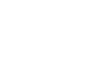 15 novembre – Percentuale rete realizzata