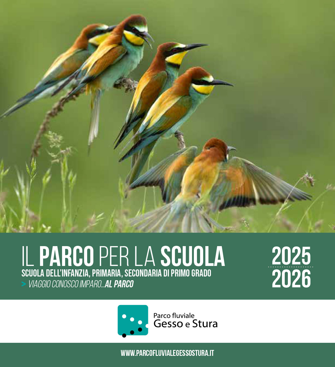 parco-fluviale-2026-fronte Wedge Power - Festival del Sorriso 2019 - Logo dell'evento